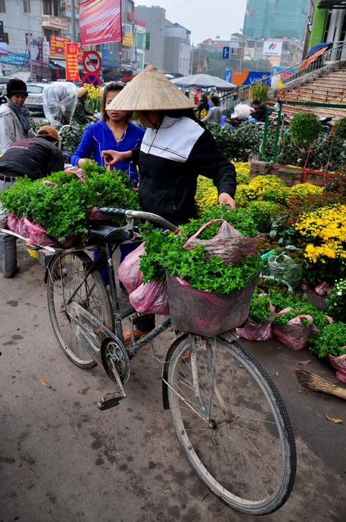 Phiên chợ Bưởi từ lâu với những nét đẹp vốn có như vậy đã đi vào tâm hồn của biết bao nhiêu người Hà Nội mà ít chợ nào có được. Hà Nội phong phú với nhiều chợ nhưng phiên chợ Bưởi vẫn mang trong mình nhiều nét riêng biệt.